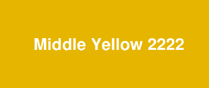MIDDLE YELLOW 2222