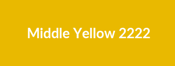 Middle Yellow 2222