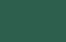 Olive Green B