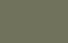 Olive R